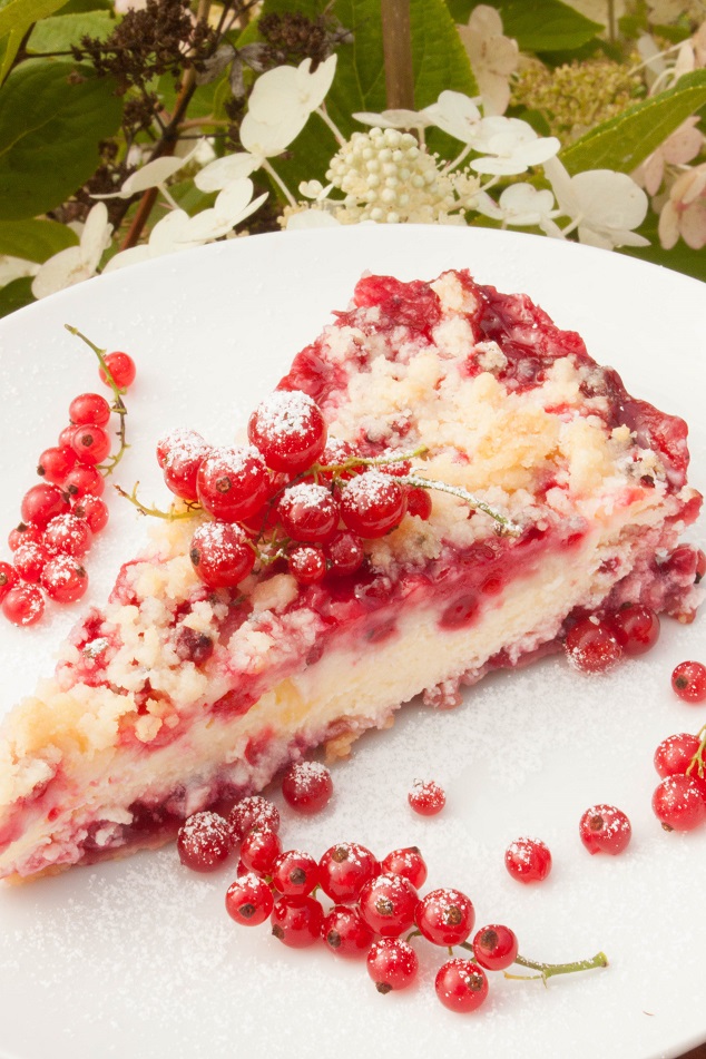 Streusel Cheesecake with Red Currant